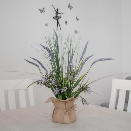 Apartment Casa Antonia Conil 1 *